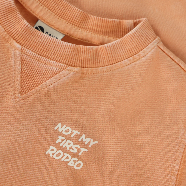 Daily7 Daily7 | T-shirt backprint sandstone