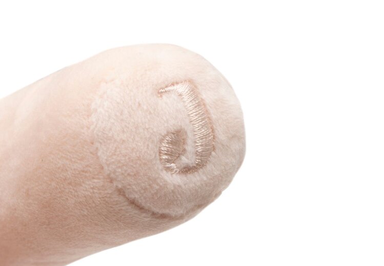 Jollein Jollein | Rammelaar pretty picnic ladybug