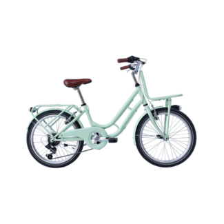 Wings RETRO 20 INCH 6 SPEED TRANSPORT LIGHT GREEN