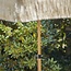 Maui stokparasol houtlook/natuur Ã˜ 180cm