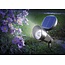 Esotec Solarspotlight voor in de tuin!