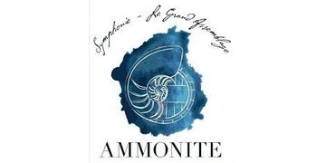 Ammonite