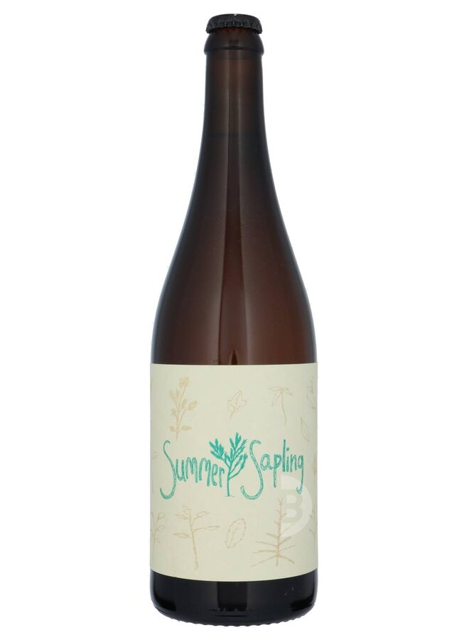 Sante Adairius Rustic Ales / Casita - Summer Sapling