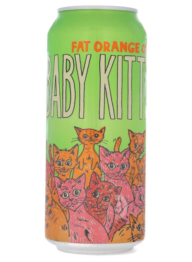 Fat Orange Cat - Baby Kittens