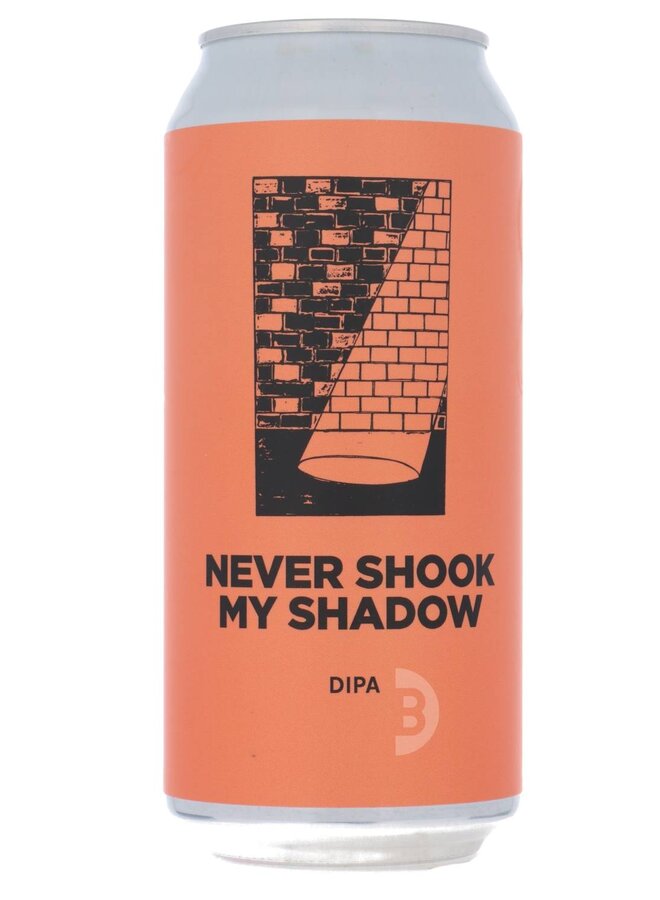 Pomona Island - Never Shook My Shadow