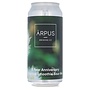 Ārpus - 8 Year Anniversary Tropical Smoothie Sour Ale
