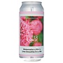 Ārpus / Outer Range Brewing - Watermelon X Mint X Lime Smoothie Sour Ale