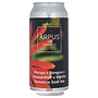 Ārpus - Mango X Banana X Passionfruit X Vanilla Smoothie Sour Ale