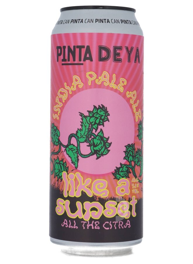 PINTA / DEYA - Like A Sunset