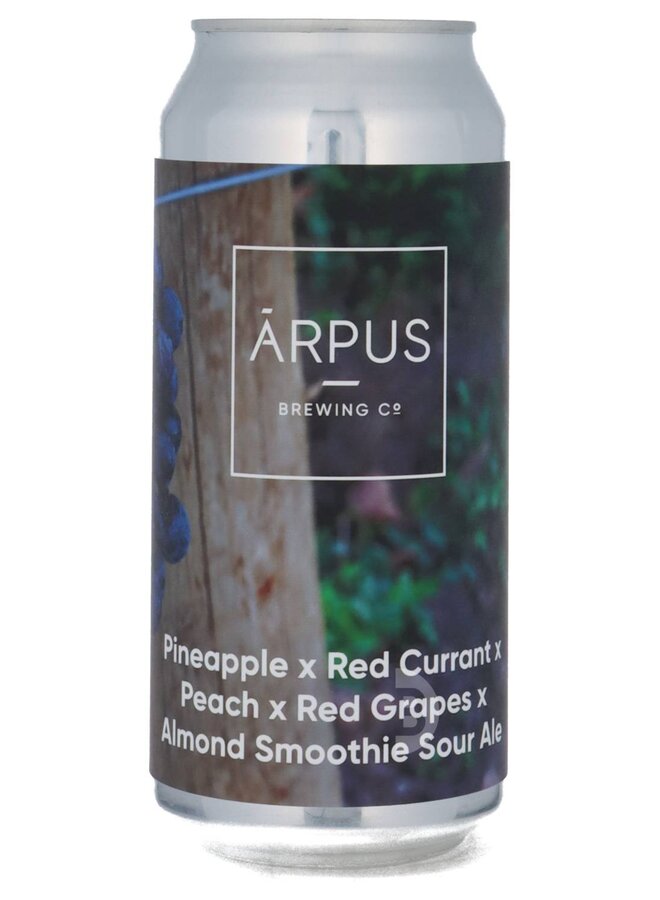 Ārpus - Pineapple X Red Currant X Peach X Red Grapes X Almond Smoothie Sour Ale
