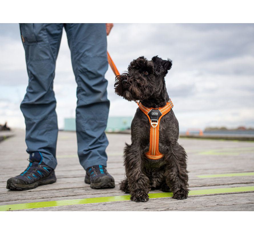 DOG Copenhagen Comfort Walk Air Harness Orange Sun - S