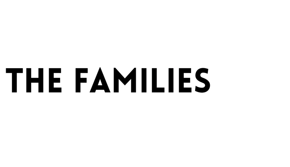 Ontmoet de families