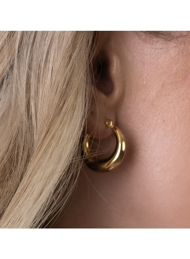 Earrings - Thick Hoops