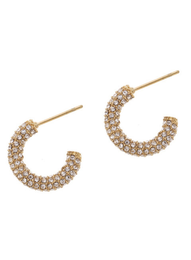Earrings - Small Diamonds Hoops - 2 sizes