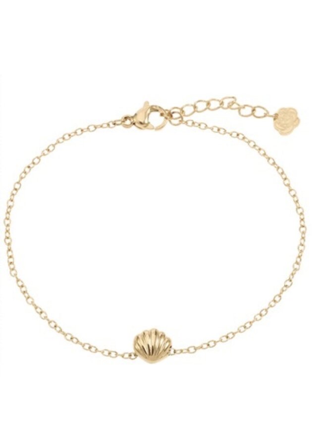 Bracelet - Shell