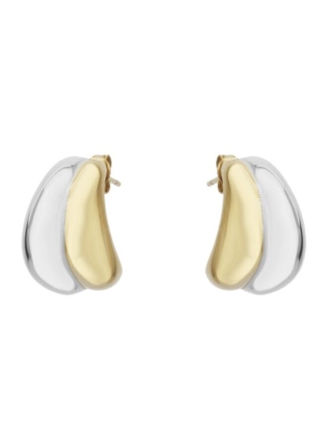 Oorbellen - Gold & Silver Mix