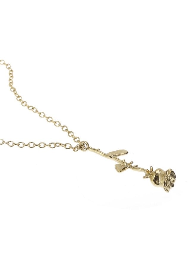 Ketting - Diamond Rose