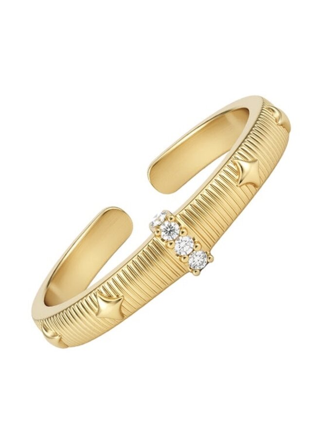 Ring - Juna