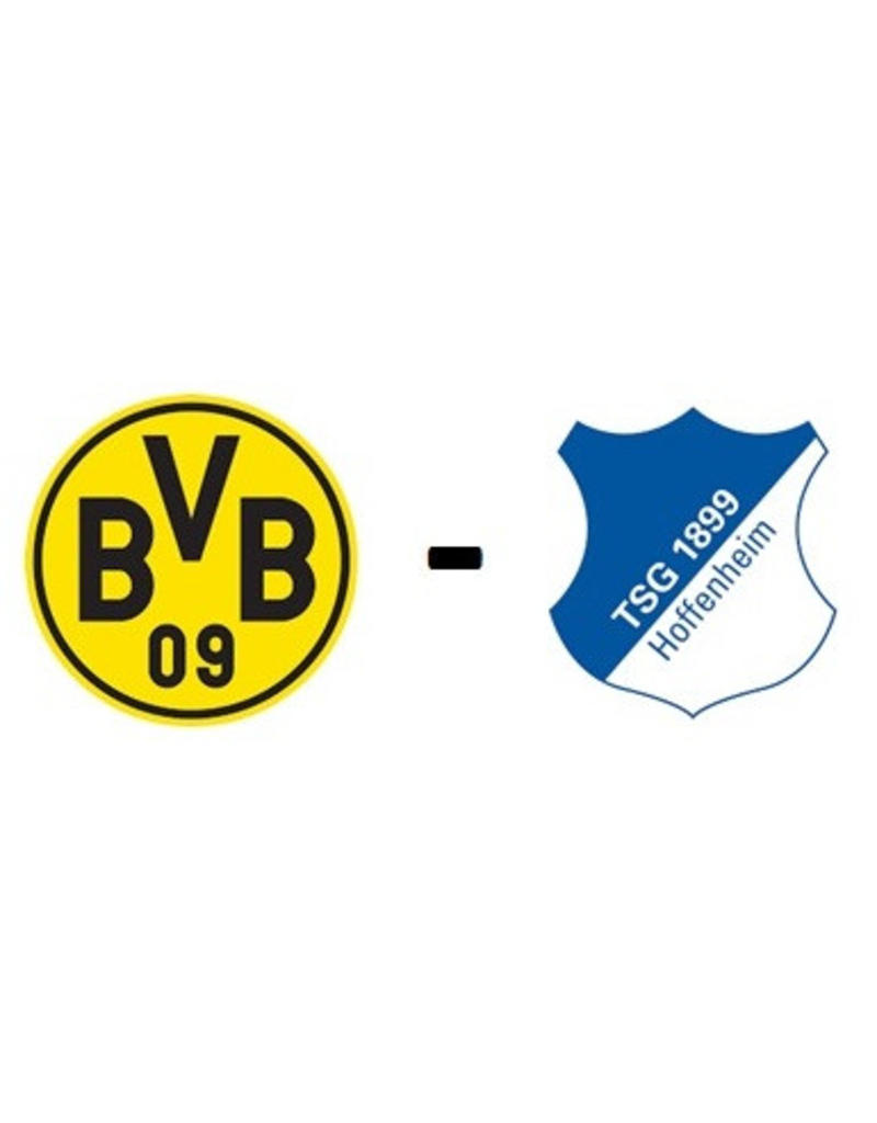 Borussia Dortmund - TSG Hoffenheim 6 december 2025