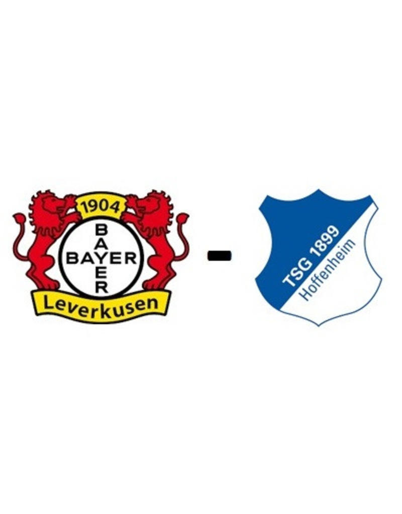Bayer Leverkusen - TSG Hoffenheim 3. Marz 2027