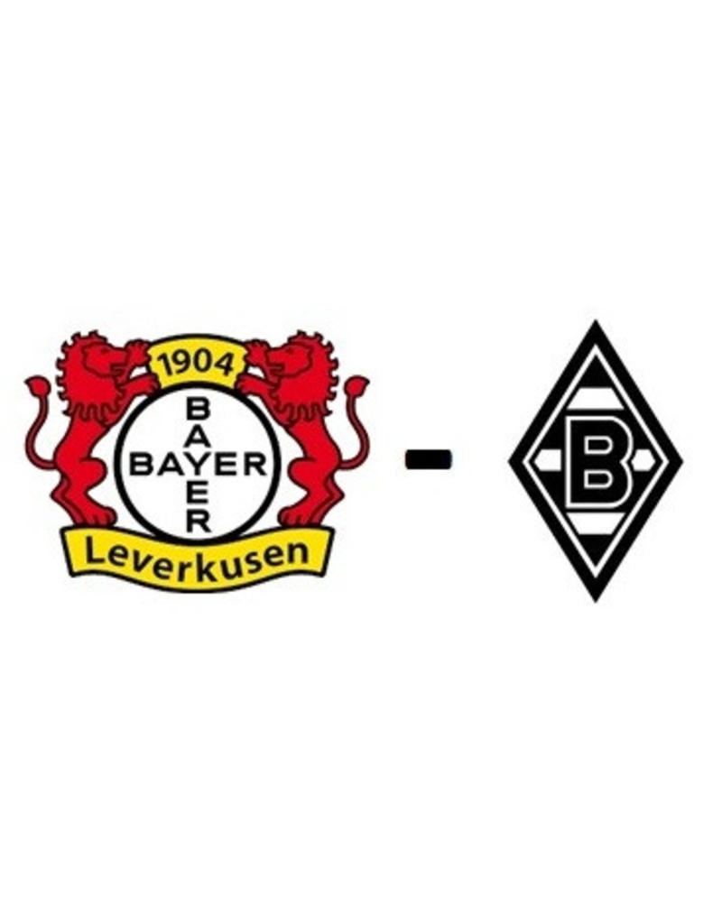 Bayer Leverkusen - Borussia Monchengladbach 20. Mai 2023