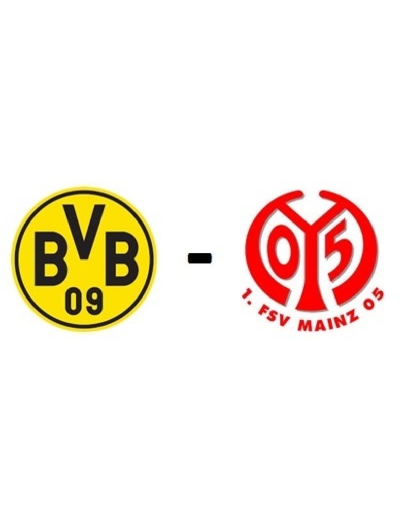 Borussia Dortmund - 1. FSV Mainz Reisegepäck 27. Mai 2023