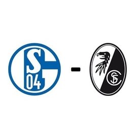 Schalke 04 - SC Freiburg Arrangement