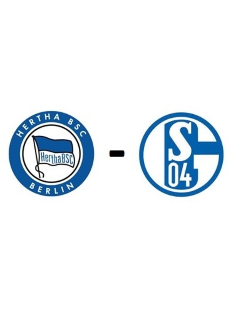 Hertha Berlin - Schalke 04 17. Januar 2026