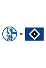 Schalke 04 - Hamburger SV 20. Januar 2024