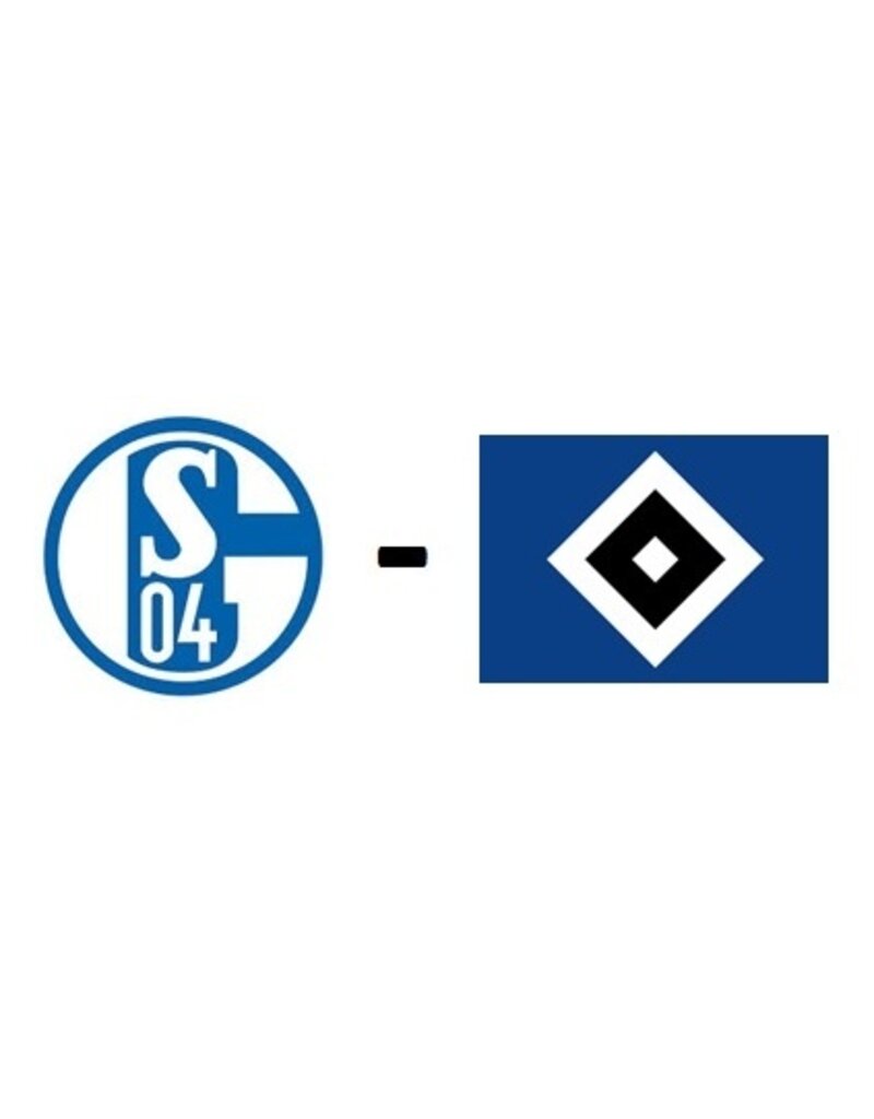 Schalke 04 - Hamburger SV 20. Januar 2024