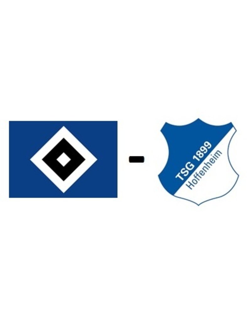 Hamburger SV - TSG Hoffenheim 20. Februar 2027