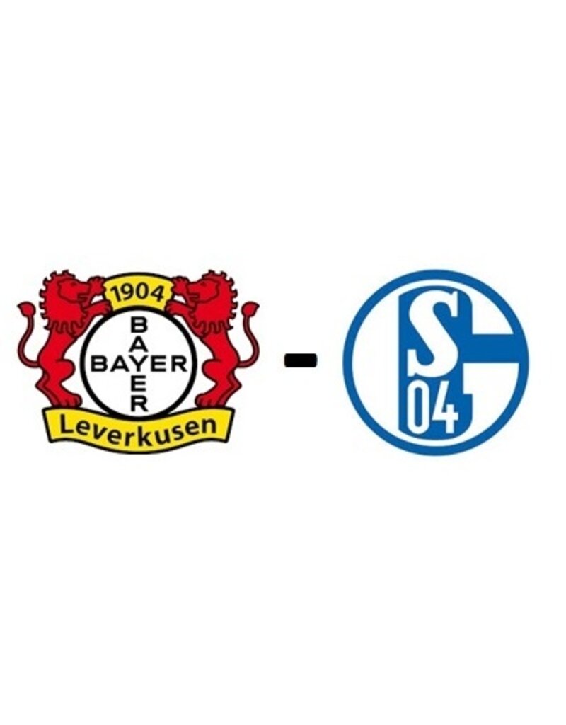 Bayer Leverkusen - Schalke 04 16. Januar 2027