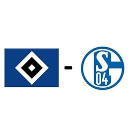 Hamburger SV - Schalke 04