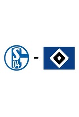 Schalke 04 - Hamburger SV 17 April 2027