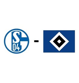 Schalke 04 - Hamburger SV