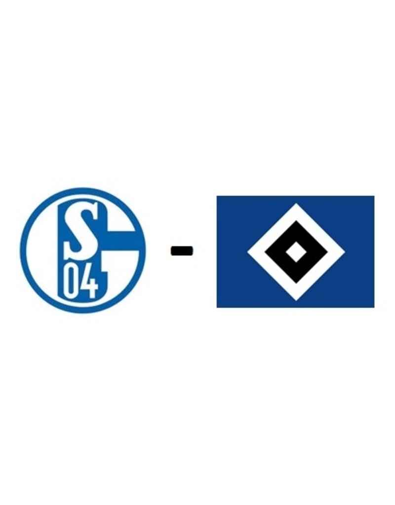 Schalke 04 - Hamburger SV 17 April 2027
