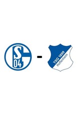 Schalke 04 - TSG Hoffenheim 13 March 2027