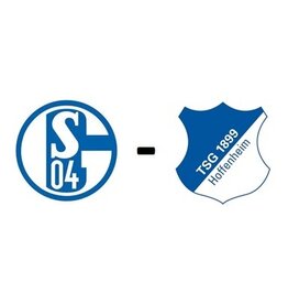 Schalke 04 - TSG Hoffenheim