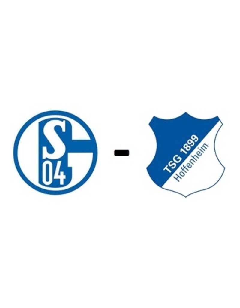 Schalke 04 - TSG Hoffenheim 13. Marz 2027