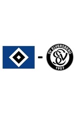 Hamburger SV - SV Elversberg 24. April 2027