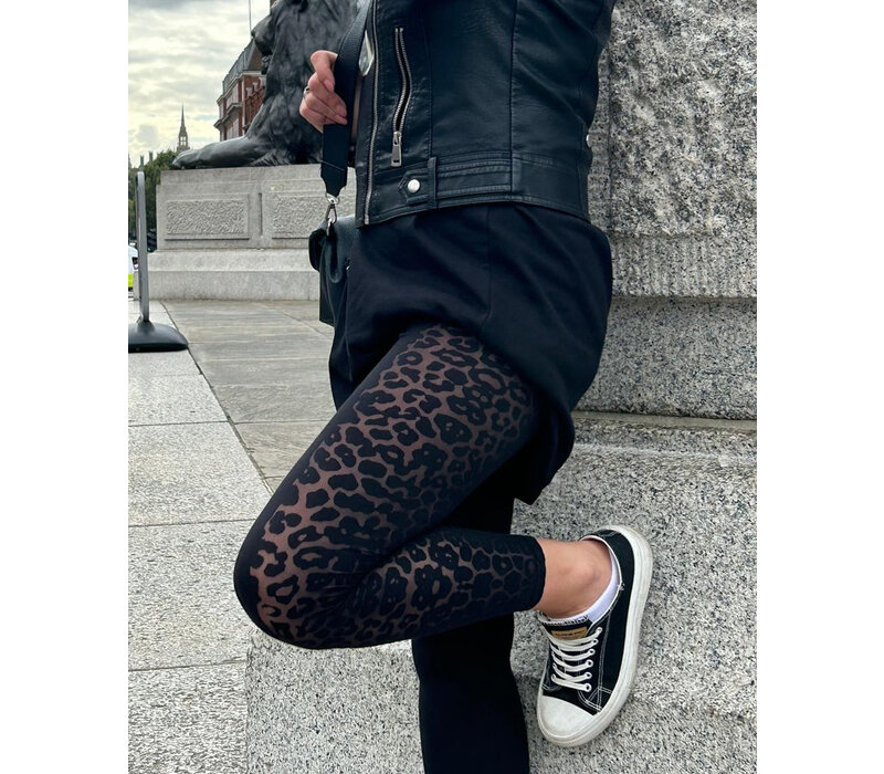 MA RE -ams  leggings Leo - black on black