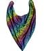 Bandana Bibble slabben Bandana Bibble   Rainbow Zebra