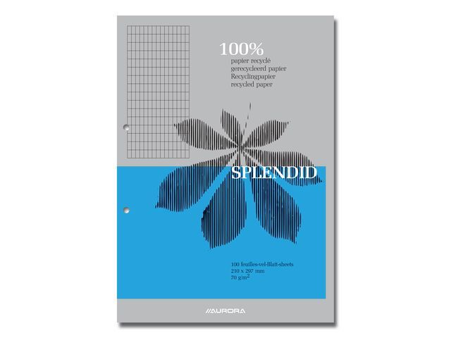 Aurora Cursusblok A4 Ruit 4X8 Pak 10 Stuks aurora kopen in de aanbieding