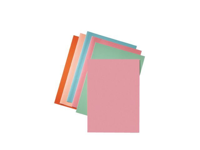 Esselte Vouwmap Onbedrukt A4 80 Gm Roze Pak 250 Stuks esselte kopen in de aanbieding Esselte Vouwmap Onbedrukt A4 80 Gm Roze Pak 250 Stuks esselte kopen in de aanbieding