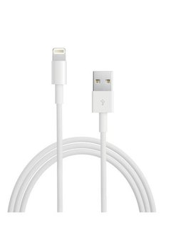 Apple Kabel Apple Lightning to USB 2M wit