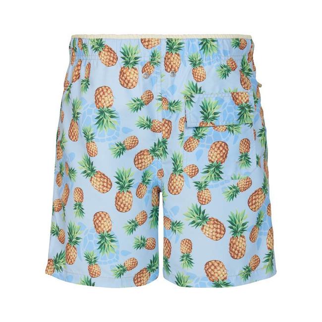 Ramatuelle Tortola Zwembroek