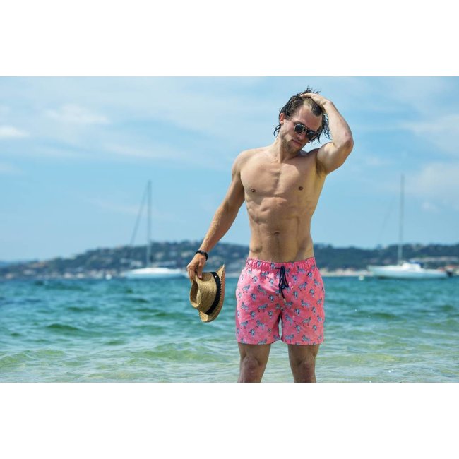 Ramatuelle Zebra Swim shorts