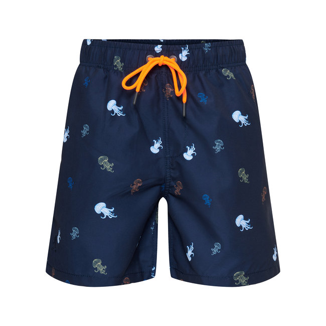 Ramatuelle Jelly fish