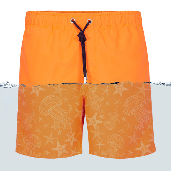 Ramatuelle Magic print 2 swimshort