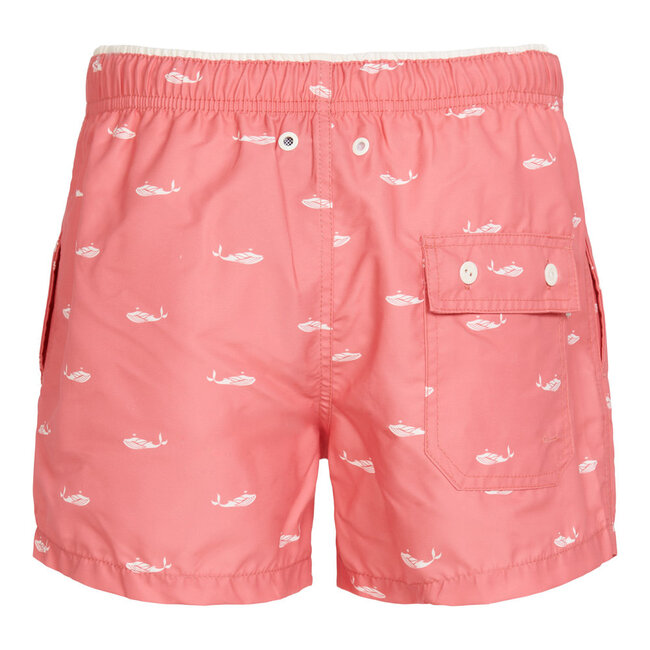 Ramatuelle Pico Swim shorts